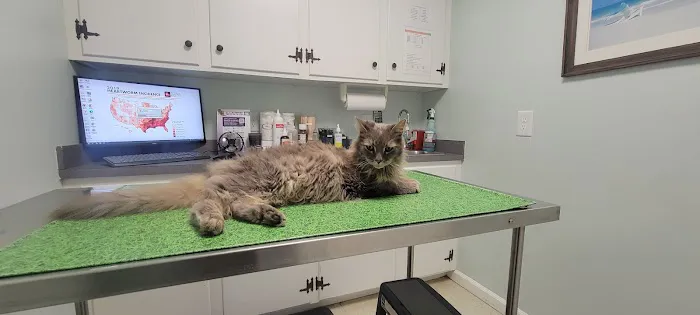 Gates County Animal Clinic Picture 6