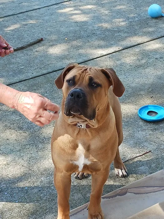 Gates County Animal Clinic Picture 10