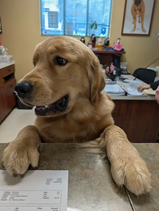 Dill Veterinary Hospital & Reproductive Services Picture 2