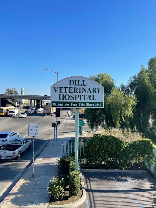 Dill Veterinary Hospital & Reproductive Services Picture 10