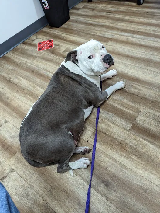 Foothill Vet Clinic Picture 1