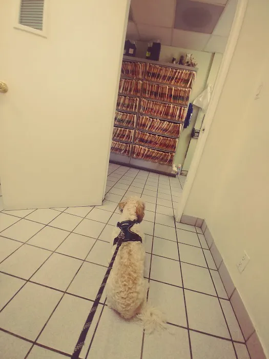 San Fernando Pet Hospital Picture 3