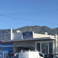 San Fernando Pet Hospital ico