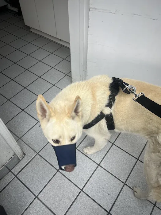 San Fernando Pet Hospital Picture 4