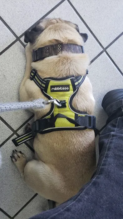 San Fernando Pet Hospital Picture 6
