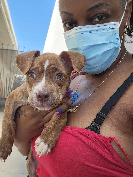 San Fernando Pet Hospital Picture 7