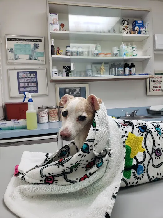San Fernando Pet Hospital Picture 10