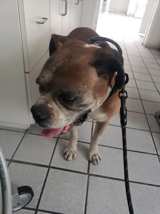 San Fernando Pet Hospital Picture 8