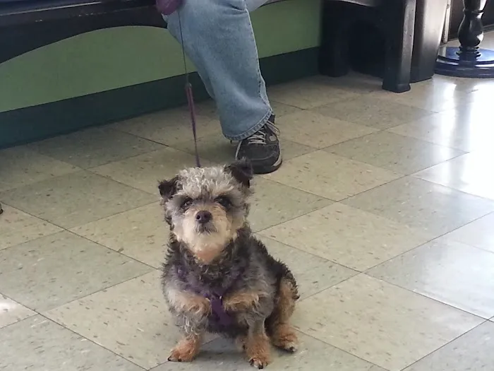 Vet Care Animal Center Picture 2