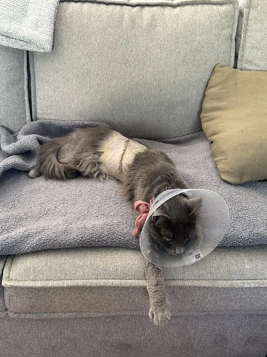 Vet Care Animal Center Picture 5