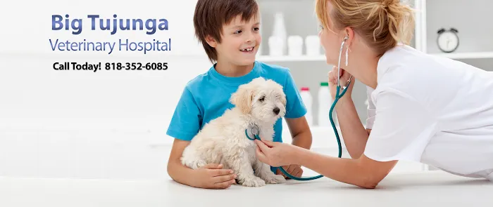 Big Tujunga Vet Hospital Picture 2
