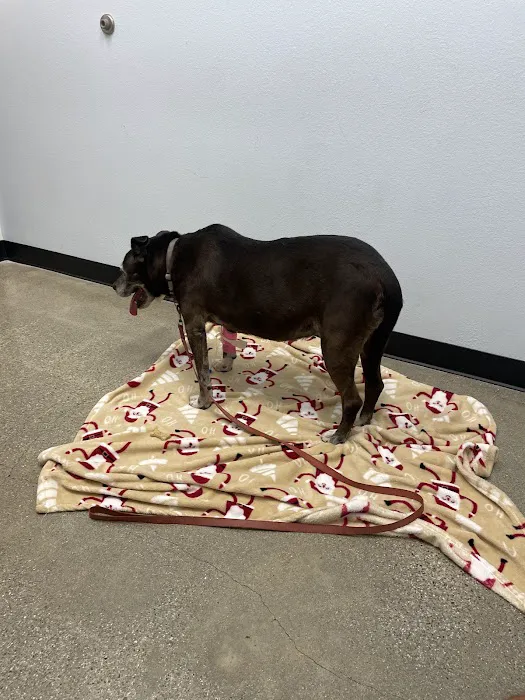 PetSmart Veterinary Services - Tujunga Picture 4