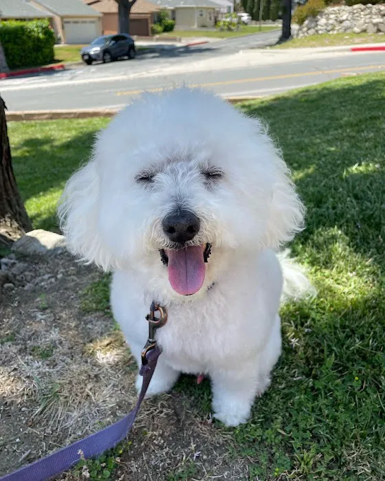 PetSmart Veterinary Services - Tujunga Picture 3