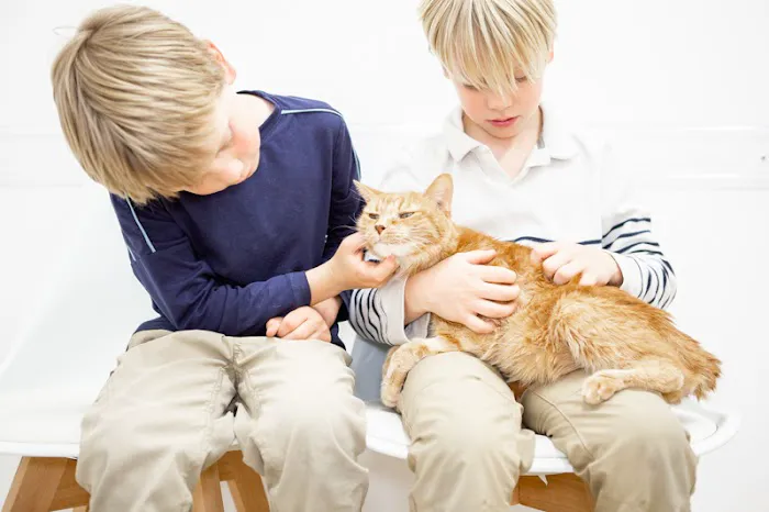 Crescenta Cañada Pet Hospital Picture 10