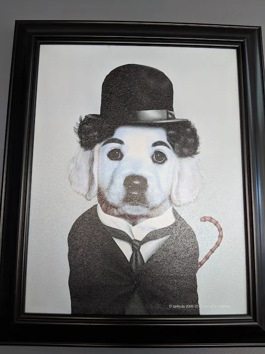 Crescenta Valley Veterinary Hospital Picture 9