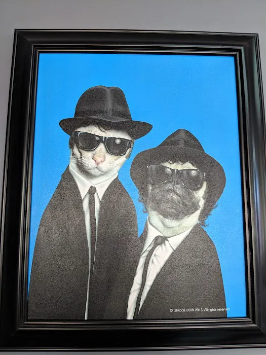 Crescenta Valley Veterinary Hospital Picture 7