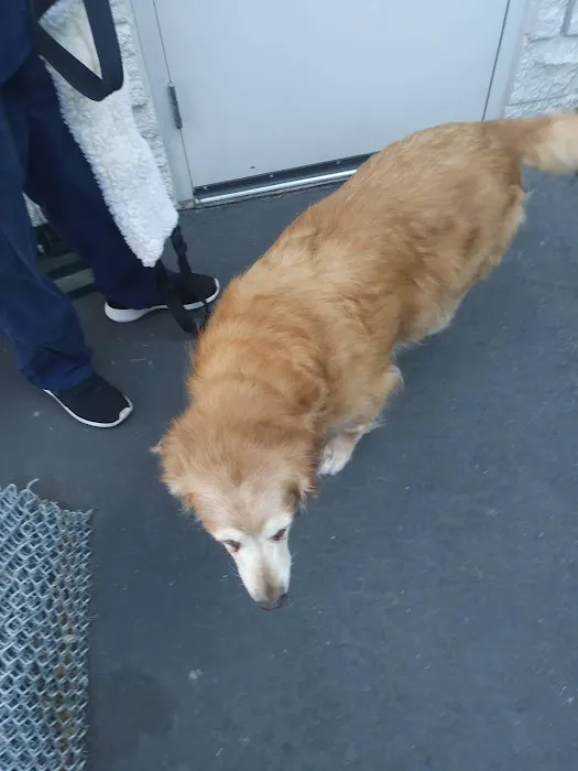 VCA Adler Animal Hospital and Pet Resort Picture 2