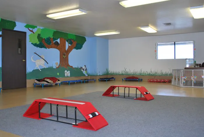 VCA Adler Animal Hospital and Pet Resort Picture 5