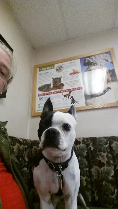 VCA Adler Animal Hospital and Pet Resort Picture 8