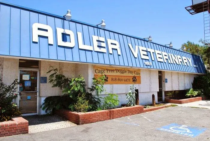 VCA Adler Animal Hospital and Pet Resort Picture 7