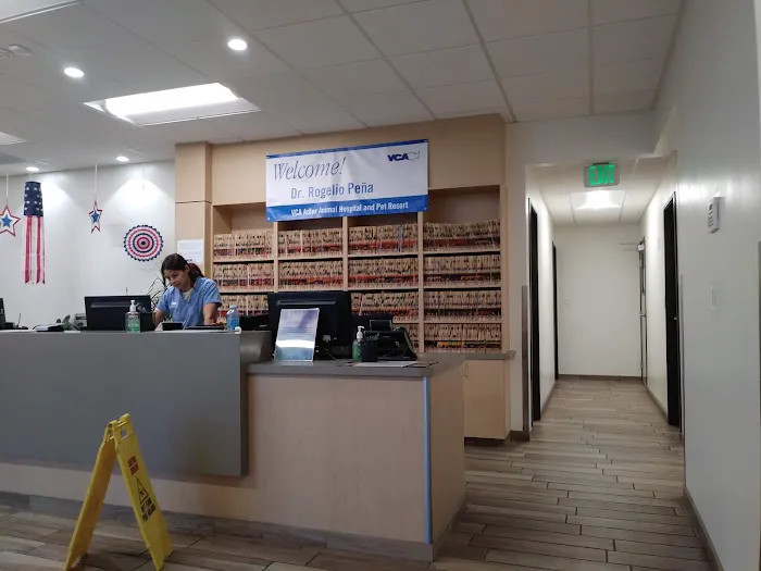 VCA Adler Animal Hospital and Pet Resort Picture 4