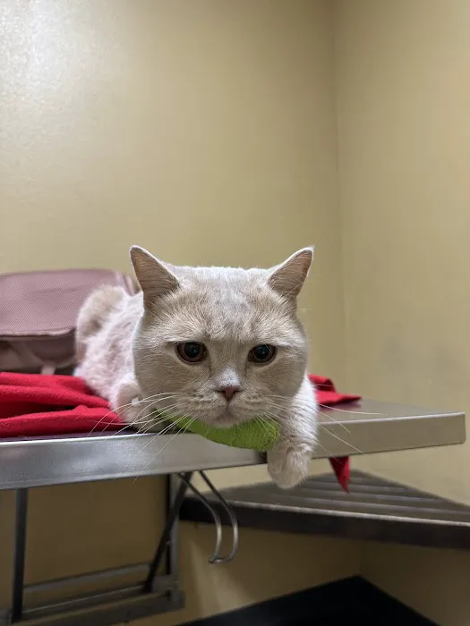 Mid Valley Veterinary Hospital Picture 4