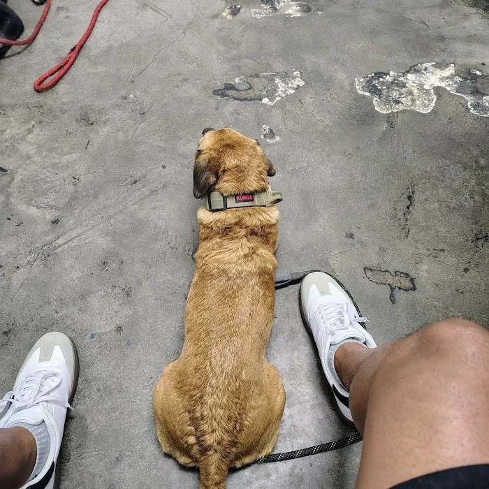 Mid Valley Veterinary Hospital Picture 8