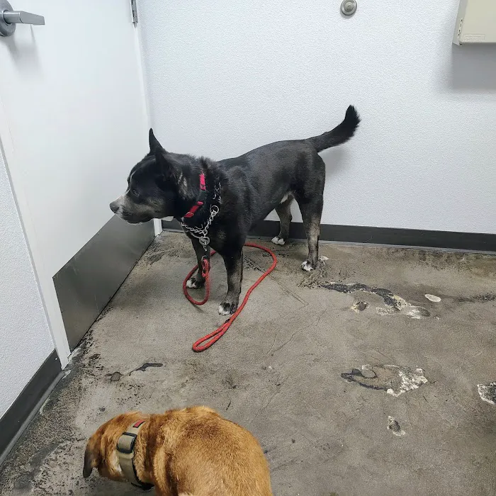 Mid Valley Veterinary Hospital Picture 6