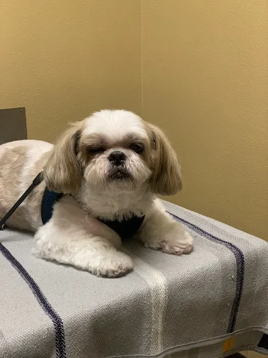 Mid Valley Veterinary Hospital Picture 9