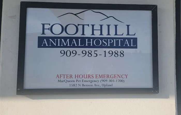 Pet Hospital Picture 1