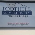 Pet Hospital