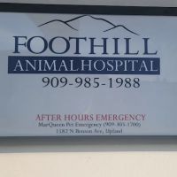 Pet Hospital ico