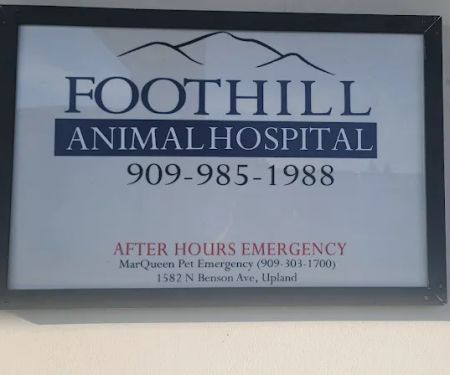 Pet Hospital