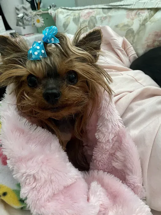 Foothill Animal Hospital Best Upland Vet Picture 7