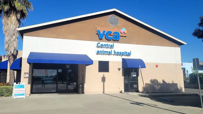 VCA Central Animal Hospital Picture 3