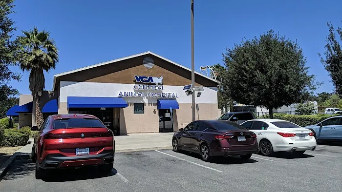 VCA Central Animal Hospital Picture 1