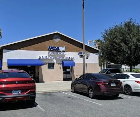 VCA Central Animal Hospital