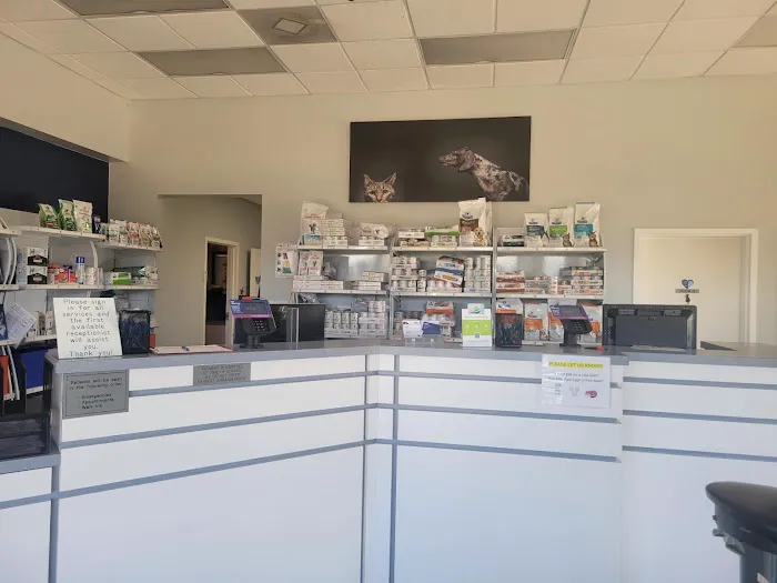 VCA Central Animal Hospital Picture 7