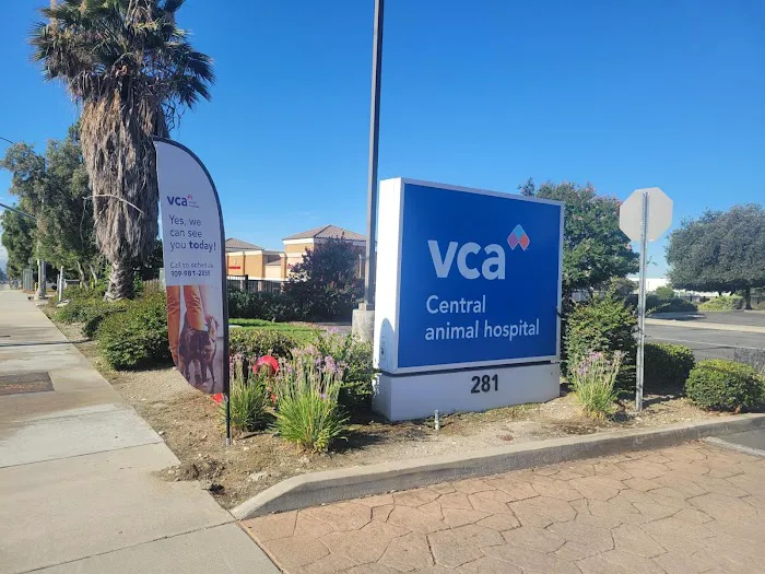 VCA Central Animal Hospital Picture 9
