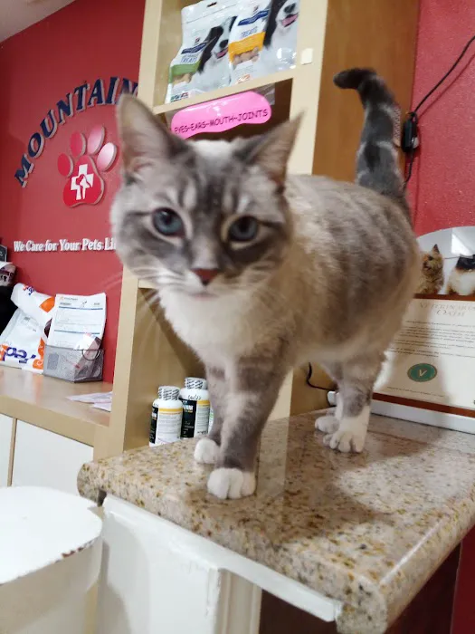 Mountain Avenue Animal Hospital Picture 6