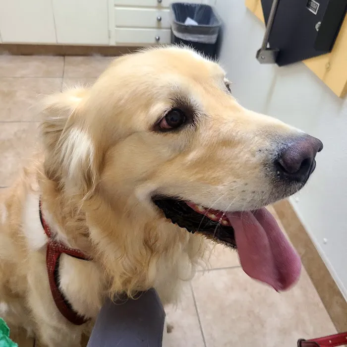 Mountain Avenue Animal Hospital Picture 5