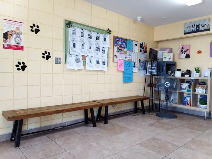 Mountain Avenue Animal Hospital Picture 4