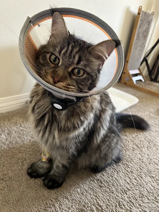 Mountain Avenue Animal Hospital Picture 8