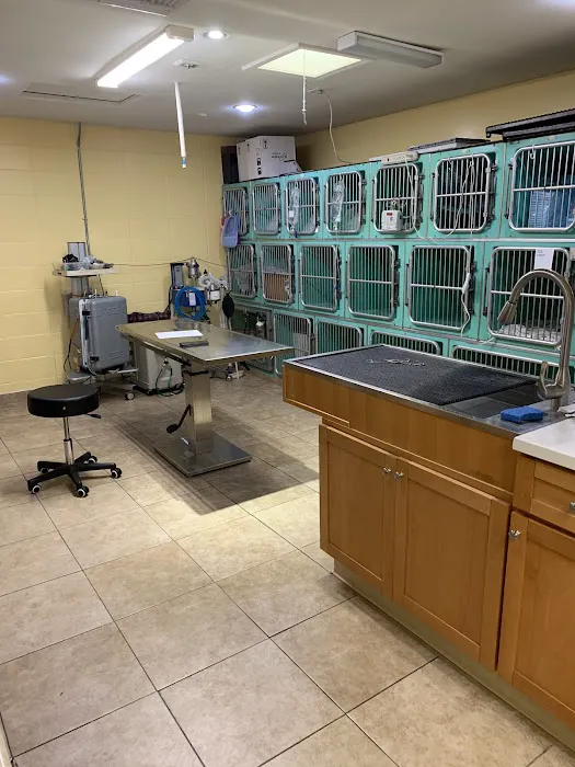 Mountain Avenue Animal Hospital Picture 9