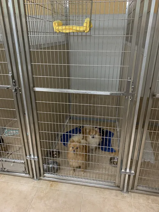 Mountain Avenue Animal Hospital Picture 10
