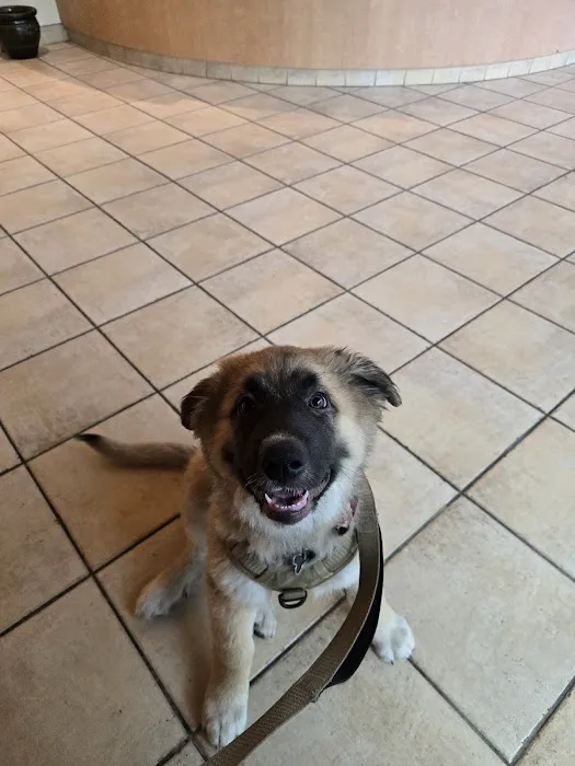 Claremont Veterinary Hospital Picture 3