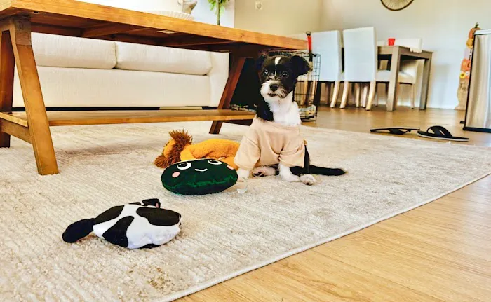 Claremont Veterinary Hospital Picture 5