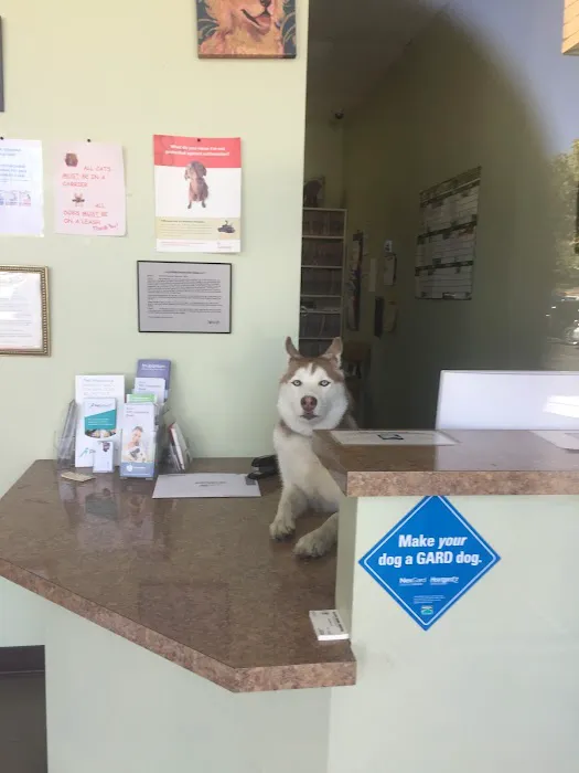 Alleve Animal Hospital Picture 1