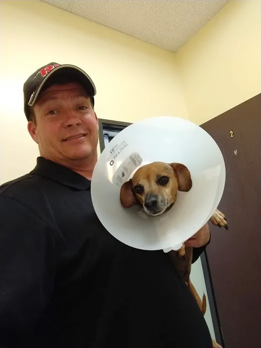 Alleve Animal Hospital Picture 3