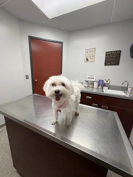 Country Animal Clinic Inc. Picture 5